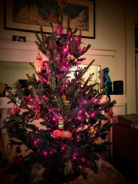 Mid-month December blog