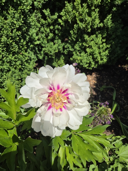 June Blog